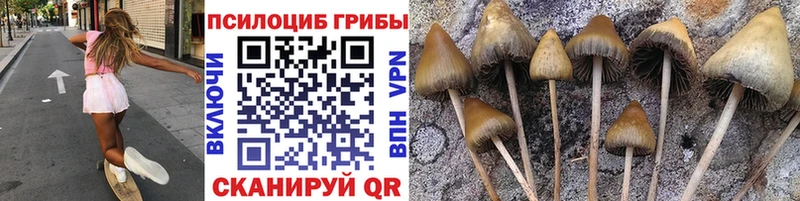 Галлюциногенные грибы MAGIC MUSHROOMS  Верхоянск 