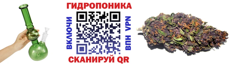 где можно купить наркотик  MEGA рабочий сайт  Бошки марихуана THC 21%  Верхоянск 